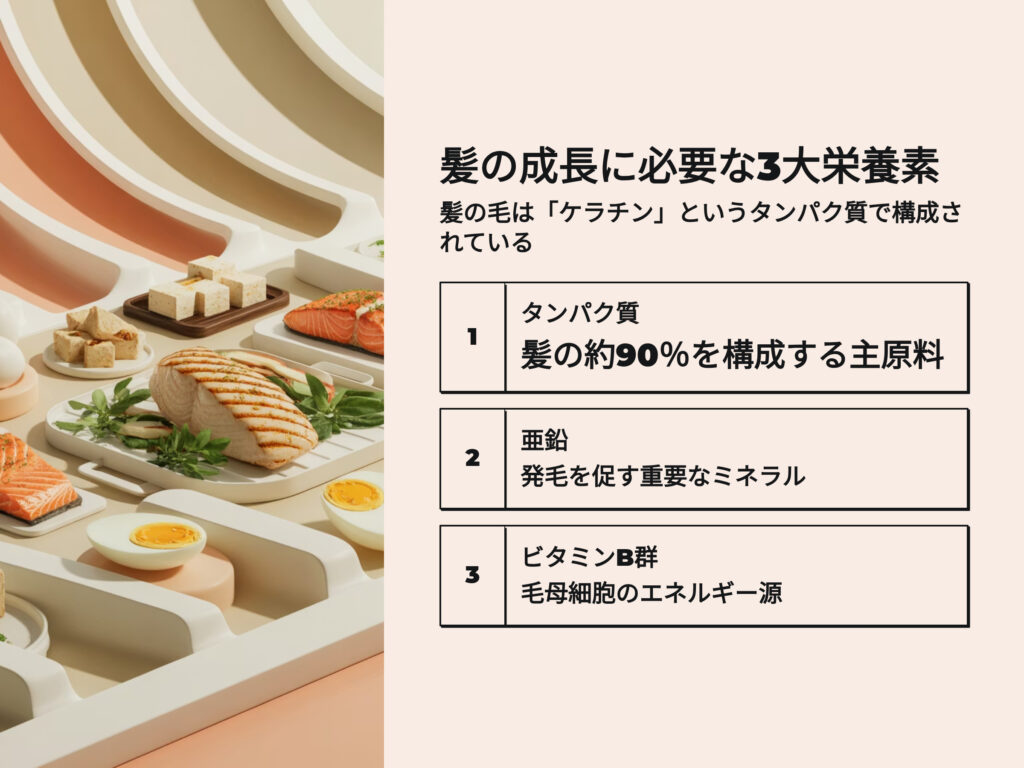 髪の成長に必要な3大栄養素
髪の毛はケラチンというたんぱく質で構成されている