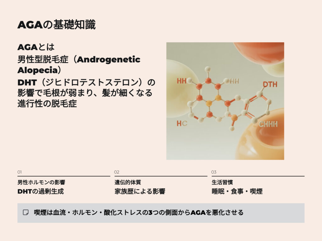 AGA（Androgenetic Alopecia）は「男性型脱毛症」と呼ばれ、
男性ホルモン（DHT：ジヒドロテストステロン）の影響で
毛根が弱まり、髪が細くなっていく進行性の脱毛症です