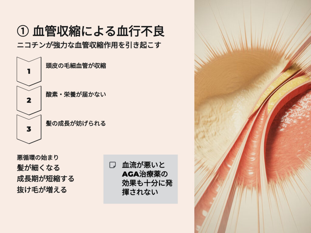 血管収縮による血行不良
ニコチンが強力な血管収縮作用を引き起こす
頭皮の毛細血管が収縮
酸素栄養が届かない
髪の成長が妨げられる
悪循環の始まり
髪が細くなる
成長期が短縮する
抜け毛が増える
血流が悪いとAGA治療薬の効果も十分に発揮されない