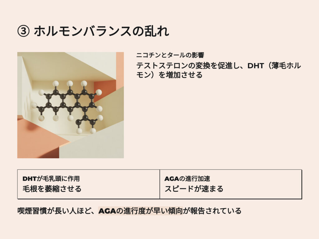 ホルモンバランスの乱れ
ニコチンとタールの影響
テストステロンの変換を促進し、DHT（薄毛ホルモン）を増加させる
