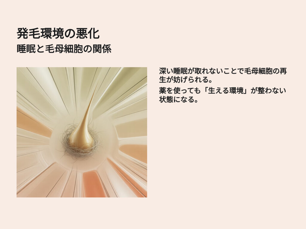 発毛環境の悪化
睡眠と毛母細胞の関係
深い睡眠がとれないことで毛母細胞の再生が妨げられる
薬を使っても生える環境が整わない状態になる。