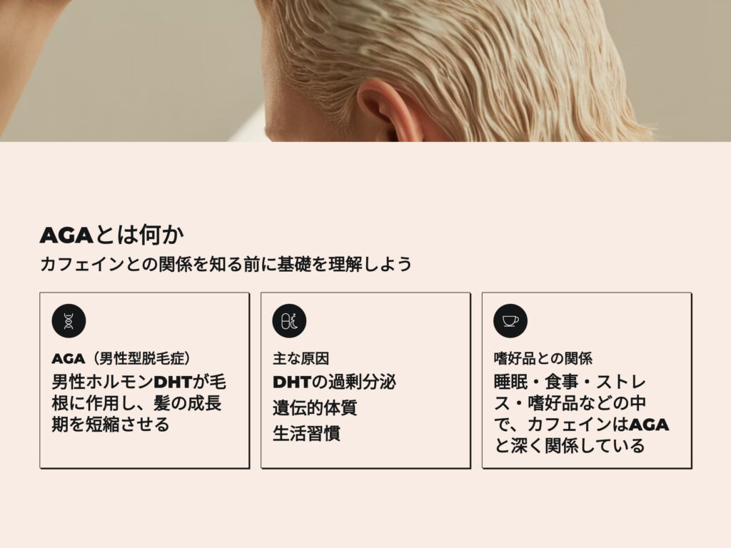 AGAとは何か
カフェインとの関係を知る前に基礎を理解しよう
AGA
DHT
