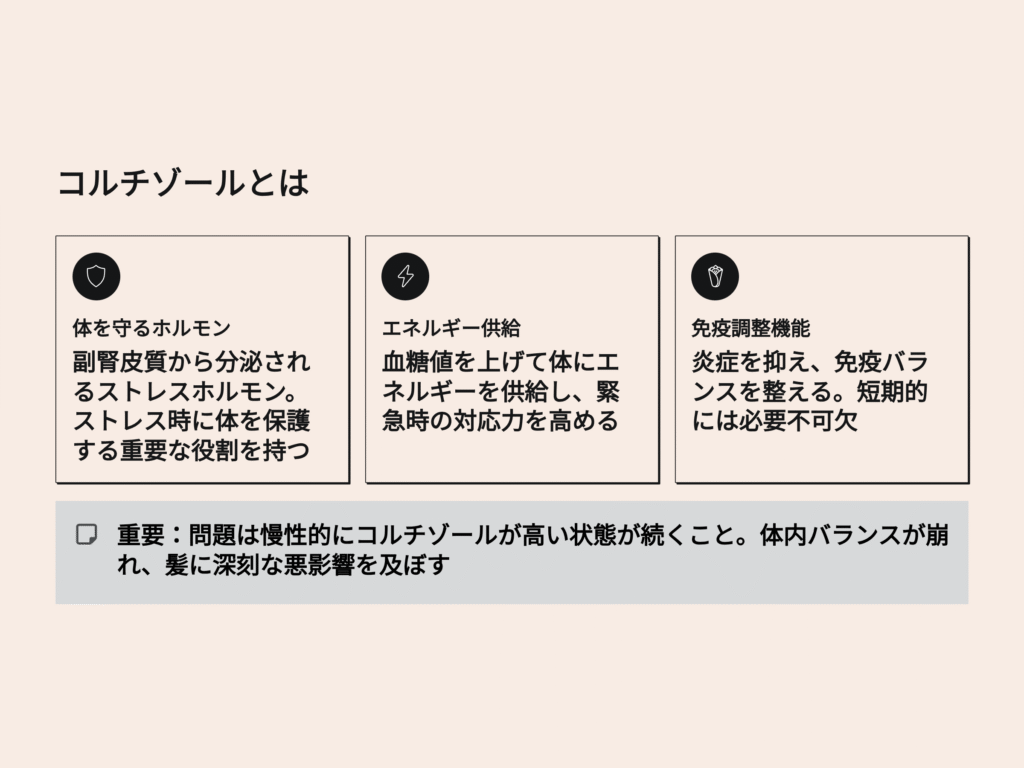 コルチゾールとは
カラダを守るホルモン
エネルギー供給
免疫調整機能