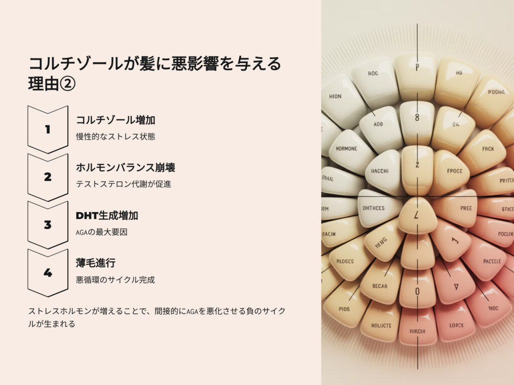 コルチゾールが髪に悪影響を与える理由
