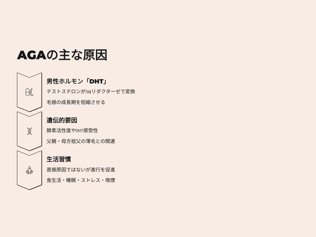 AGAの主な原因
男性ホルモンDHT
テストステロンが５αリダクターゼで変換　毛根の成長期を短縮させる
遺伝的要因
酵素活性度やDHT感受性
父親、母方祖父の薄毛との関連
生活習慣
直接原因ではないが進行を促進
食生活、睡眠、ストレス、喫煙