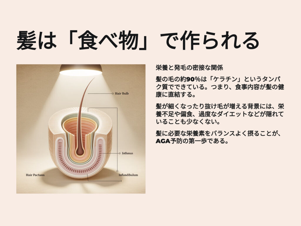 髪の毛の約90％は「ケラチン」というタンパク質でできています。
つまり、食事内容が髪の健康に直結します。

髪が細くなったり抜け毛が増える背景には、栄養不足や偏食、過度なダイエットなどが隠れていることも少なくありません。

髪に必要な栄養素をバランスよく摂ることが、AGA予防の第一歩です。
